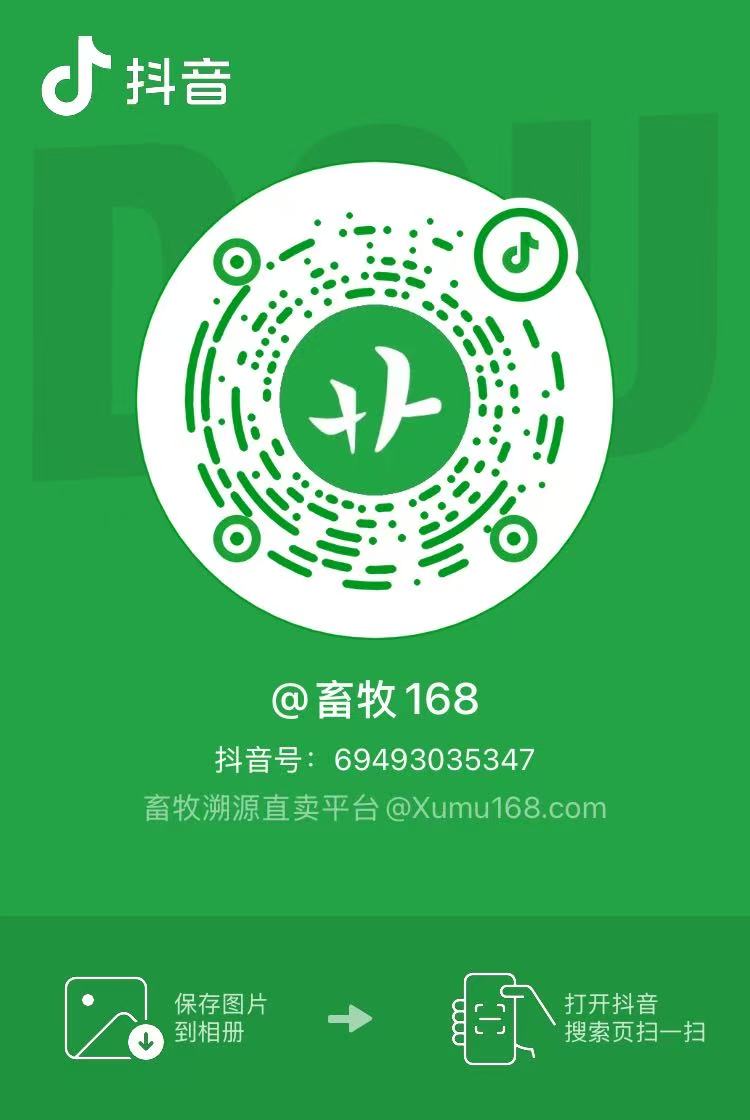 抖音码.jpg